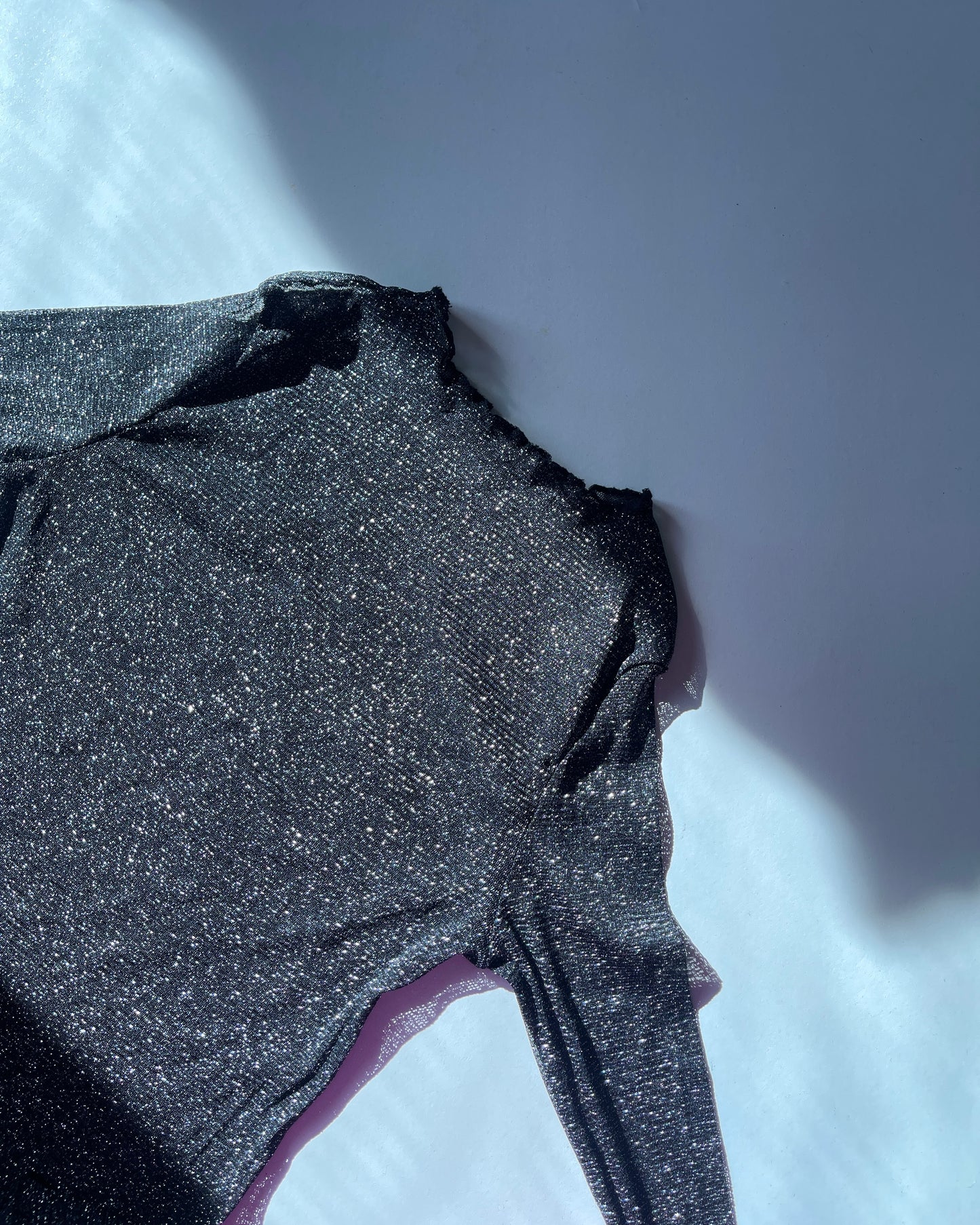 Sheer micro mesh glitter top