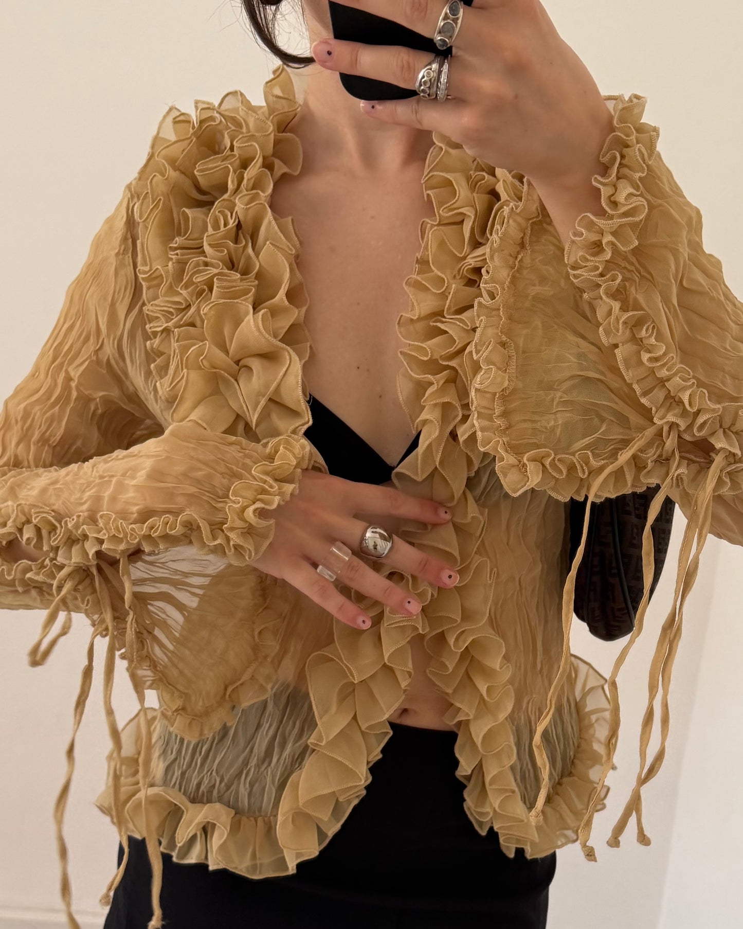 Crinkle sheer long sleeves top