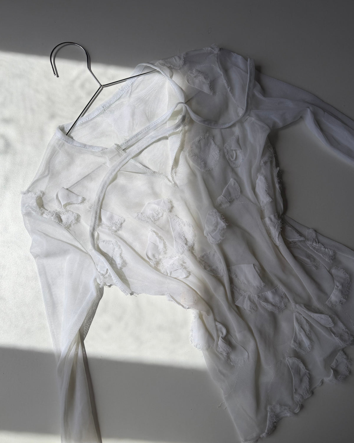Sheer long sleeves top