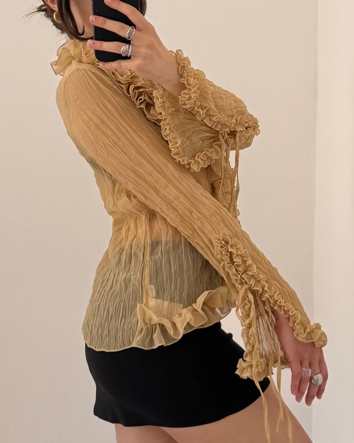 Crinkle sheer long sleeves top