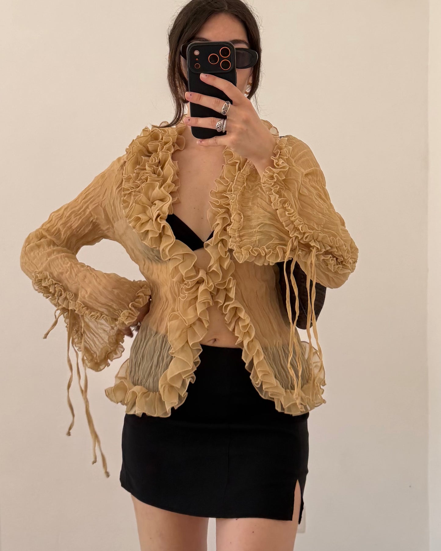Crinkle sheer long sleeves top