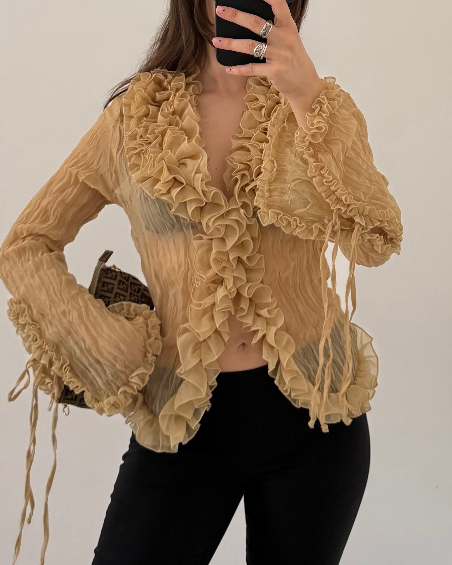Crinkle sheer long sleeves top